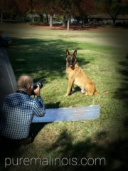 Professional Photography for Tibo - Proudly Owned By Mary From Sacramento California